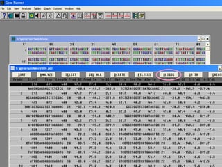 Primer Designing | PPT