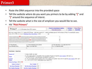 Primer3Paste the DNA sequence into the provided spaceTell the website where do you want you primers to be by adding “[“ and “]” around the sequence of interst.Tell the website what is the size of amplicon you would like to see.Hit “Pick Primers”