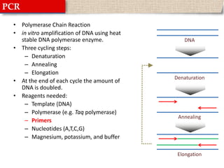 PCRPolymerase Chain Reactionin vitro amplification of DNA using heat stable DNA polymerase enzyme.Three cycling steps:DenaturationAnnealingElongationAt the end of each cycle the amount of DNA is doubled.Reagents needed:Template (DNA)Polymerase (e.g. Taq polymerase)PrimersNucleotides (A,T,C,G)Magnesium, potassium, and bufferDNADenaturationAnnealingElongation