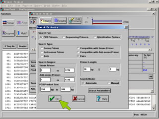 Primer Design App Primer design | PPT