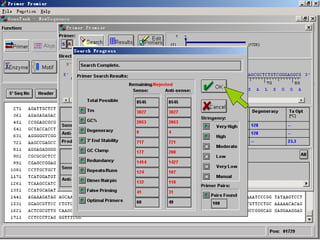 Primer Design App Primer design | PPT