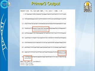 Primer design | PPT