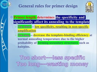 Primer design | PPT