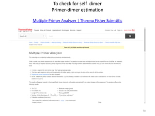 Primer Design Thermo Fisher with Hannah Torres blog