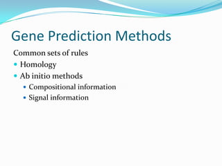 Gene Prediction Methods
Common sets of rules
 Homology
 Ab initio methods
   Compositional information
   Signal information
 