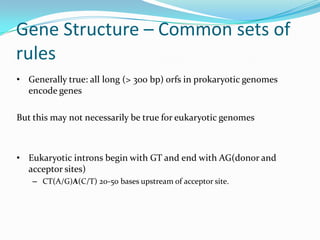 Gene Structure – Common sets of
rules
• Generally true: all long (> 300 bp) orfs in prokaryotic genomes
  encode genes

But this may not necessarily be true for eukaryotic genomes



• Eukaryotic introns begin with GT and end with AG(donor and
  acceptor sites)
   – CT(A/G)A(C/T) 20-50 bases upstream of acceptor site.
 