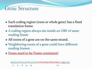 Gene Structure

   Each coding region (exon or whole gene) has a fixed
    translation frame
   A coding region always sits inside an ORF of same
    reading frame
   All exons of a gene are on the same strand.
   Neighboring exons of a gene could have different
    reading frames .
   Exons need to be Frame consistent!

     GATGGGACGACAGATAAGGTGATAGATGGTAGGCAGCAG
      0  3 6 9 12                   01
 