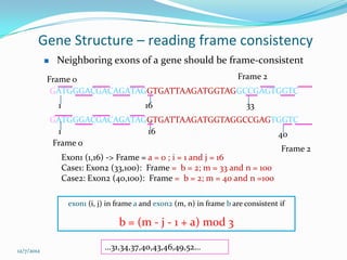 Gene Structure – reading frame consistency
                Neighboring exons of a gene should be frame-consistent
            Frame 0                           Frame 2
             GATGGGACGACAGATAGGTGATTAAGATGGTAGGCCGAGTGGTC
                  1                           16                              33
                GATGGGACGACAGATAGGTGATTAAGATGGTAGGCCGAGTGGTC
                 1                         16                               40
                Frame 0
                                                                             Frame 2
                   Exon1 (1,16) -> Frame = a = 0 ; i = 1 and j = 16
                   Case1: Exon2 (33,100): Frame = b = 2; m = 33 and n = 100
                   Case2: Exon2 (40,100): Frame = b = 2; m = 40 and n =100

                      exon1 (i, j) in frame a and exon2 (m, n) in frame b are consistent if

                                      b = (m - j - 1 + a) mod 3

12/7/2012
                                 …31,34,37,40,43,46,49,52…
 