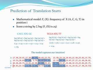 Prediction of Translation Starts
               Mathematical model: Fi (X): frequency of X (A, C, G, T) in
                position i
               Score a string by log (Fi (X)/0.25)

                CACC ATG GC                             TCGA ATG TT
            log (58/25) + log (49/25) + log (40/25) +    log (6/25) + log (6/25) + log (15/25) + log
            log (50/25) + log (43/25) + log (39/25) =    (15/25) + log (13/25) + log (14/25) =

            0.37 + 0.29 + 0.20 + 0.30 + 0.24 + 0.29      -(0.62 + 0.62 + 0.22 + 0.22 + 0.28 + 0.25)

            = 1.69                                       = -2.54


                                  The model captures our intuition!

        A
        C
        G
        T
12/7/2012
 