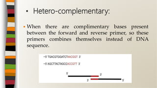 Primer designing | PPTX