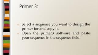 Primer designing | PPTX