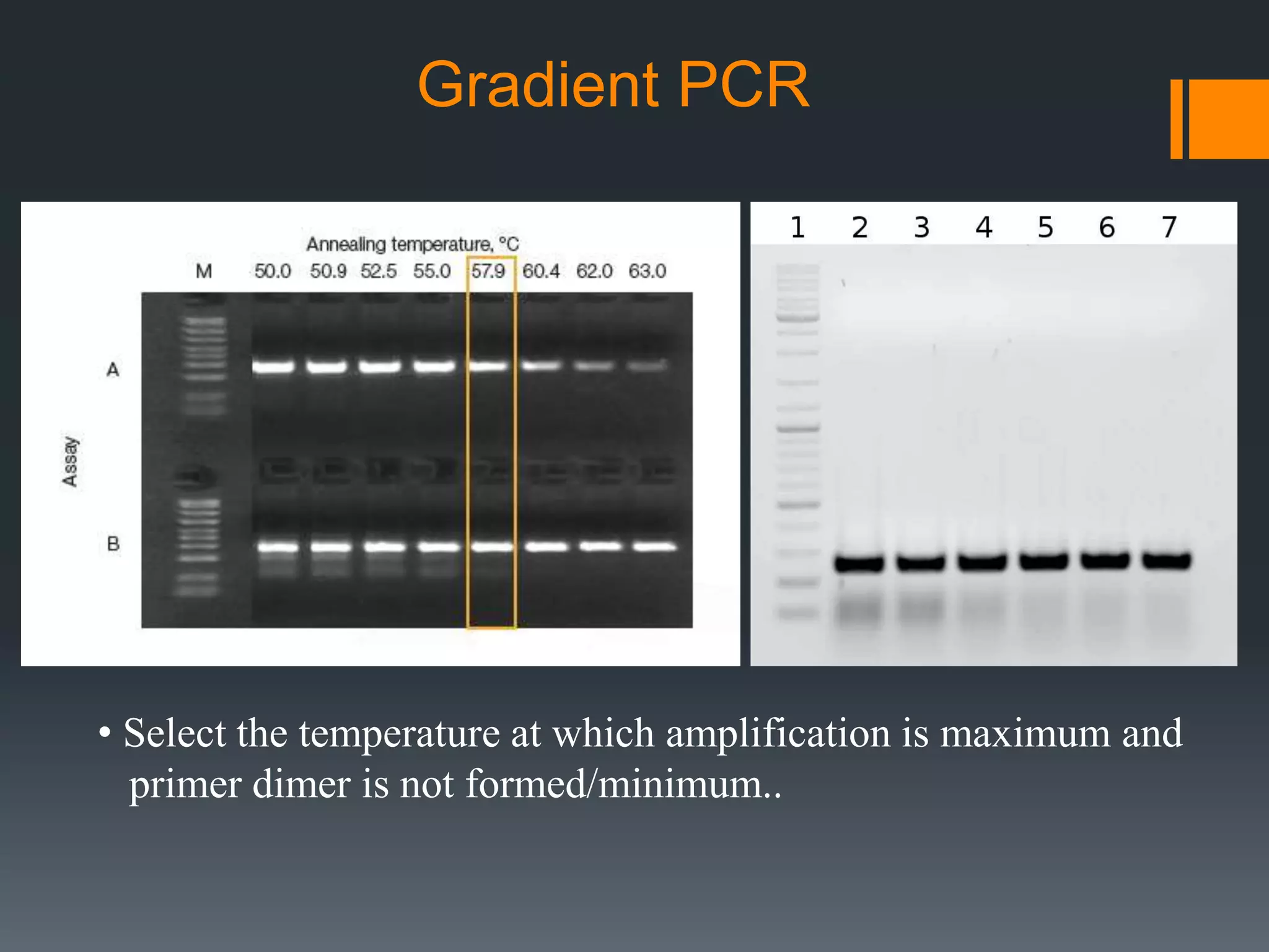 Primer designing for pcr and qpcr and their applications