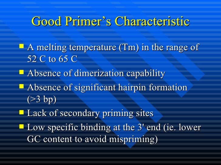 Primer design task