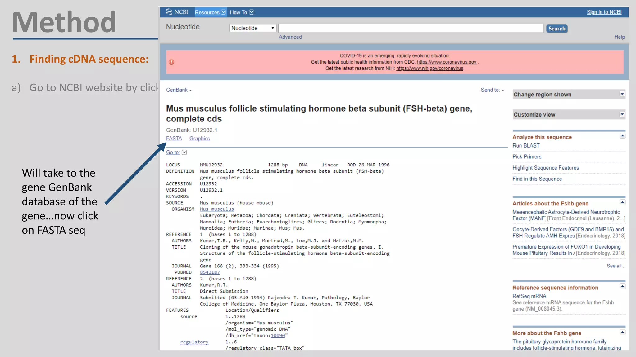 Method
1. Finding cDNA sequence:
a) Go to NCBI website by clicking https://www.ncbi.nlm.nih.gov/
Will take to the
gene GenBank
database of the
gene…now click
on FASTA seq
 