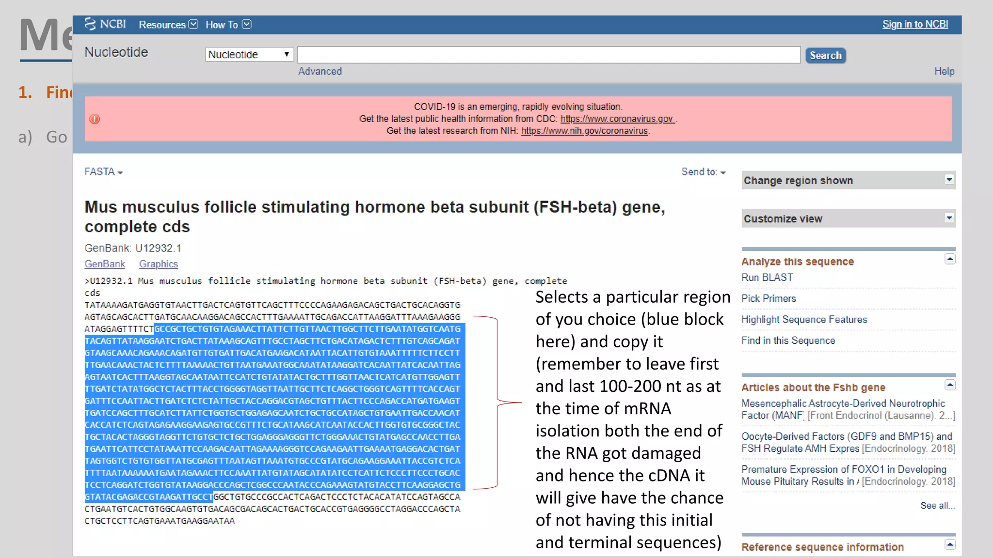Method
1. Finding cDNA sequence:
a) Go to NCBI website by clicking https://www.ncbi.nlm.nih.gov/
Selects a particular region
of you choice (blue block
here) and copy it
(remember to leave first
and last 100-200 nt as at
the time of mRNA
isolation both the end of
the RNA got damaged
and hence the cDNA it
will give have the chance
of not having this initial
and terminal sequences)
 