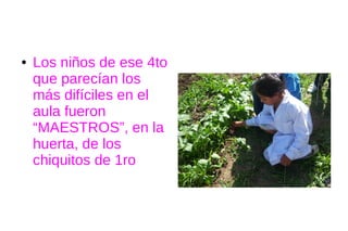 ●   Los niños de ese 4to
    que parecían los
    más difíciles en el
    aula fueron
    “MAESTROS”, en la
    huerta, de los
    chiquitos de 1ro
 