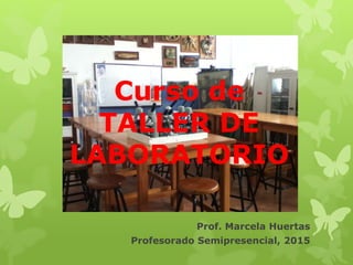 Curso de
TALLER DE
LABORATORIO
Prof. Marcela Huertas
Profesorado Semipresencial, 2015
 