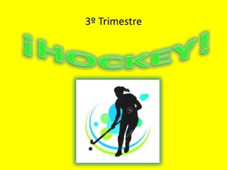 3º Trimestre
 