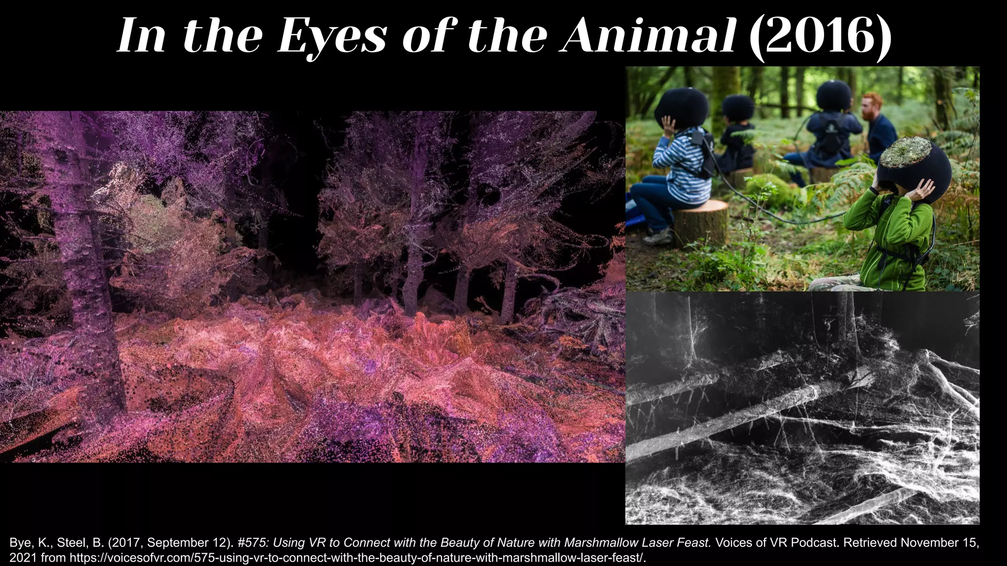In the Eyes of the Animal (2016)
Bye, K., Steel, B. (2017, September 12). #575: Using VR to Connect with the Beauty of Nature with Marshmallow Laser Feast. Voices of VR Podcast. Retrieved November 15,
2021 from https://voicesofvr.com/575-using-vr-to-connect-with-the-beauty-of-nature-with-marshmallow-laser-feast/.
 