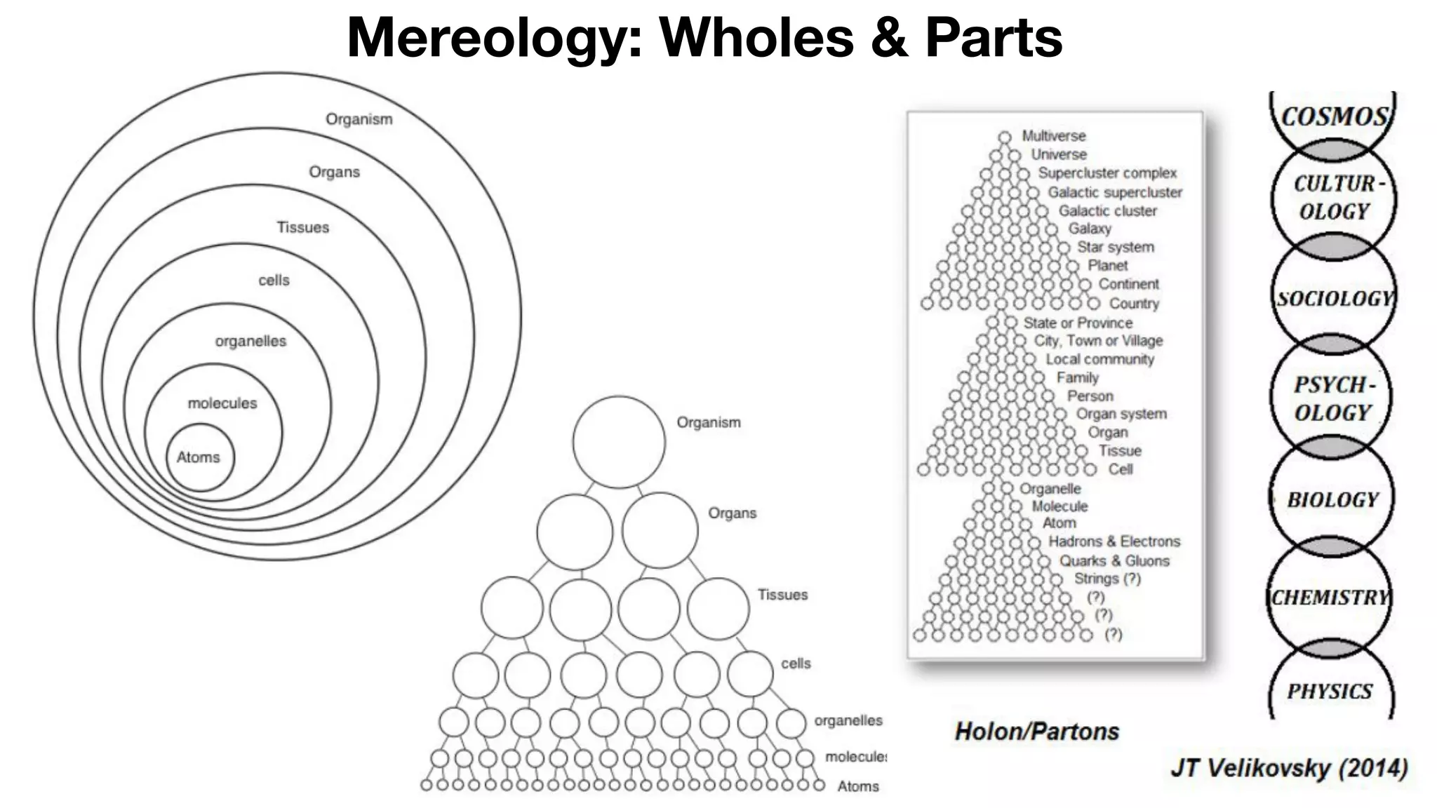 Mereology: Wholes & Parts
 