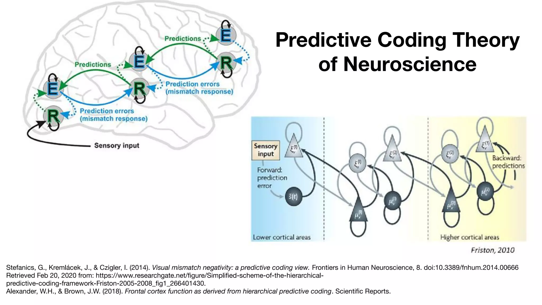 Stefanics, G., Kremlácek, J., & Czigler, I. (2014). Visual mismatch negativity: a predictive coding view. Frontiers in Human Neuroscience, 8. doi:10.3389/fnhum.2014.00666
Retrieved Feb 20, 2020 from: https://www.researchgate.net/ﬁgure/Simpliﬁed-scheme-of-the-hierarchical-
predictive-coding-framework-Friston-2005-2008_ﬁg1_266401430.
Alexander, W.H., & Brown, J.W. (2018). Frontal cortex function as derived from hierarchical predictive coding. Scientiﬁc Reports.
Predictive Coding Theory
of Neuroscience
 