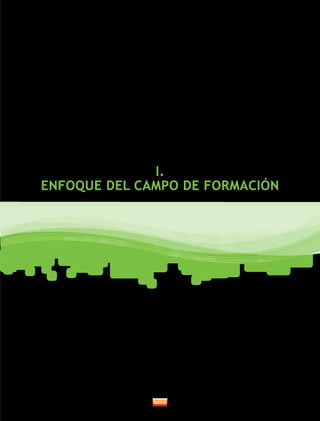 I. 
ENFOQUE DEL CAMPO DE FORMACIÓN 
 