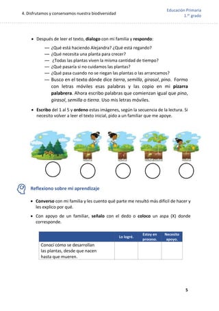 4. Disfrutamos y conservamos nuestra biodiversidad
5
Educación Primaria
1.er
grado
 Después de leer el texto, dialogo con mi familia y respondo:
— ¿Qué está haciendo Alejandra? ¿Qué está regando?
— ¿Qué necesita una planta para crecer?
— ¿Todas las plantas viven la misma cantidad de tiempo?
— ¿Qué pasaría si no cuidamos las plantas?
— ¿Qué pasa cuando no se riegan las plantas o las arrancamos?
— Busco en el texto dónde dice tierra, semilla, girasol, pino. Formo
con letras móviles esas palabras y las copio en mi pizarra
palabrera. Ahora escribo palabras que comienzan igual que pino,
girasol, semilla o tierra. Uso mis letras móviles.
 Escribo del 1 al 5 y ordeno estas imágenes, según la secuencia de la lectura. Si
necesito volver a leer el texto inicial, pido a un familiar que me apoye.
Reflexiono sobre mi aprendizaje
 Converso con mi familia y les cuento qué parte me resultó más difícil de hacer y
les explico por qué.
 Con apoyo de un familiar, señalo con el dedo o coloco un aspa (X) donde
corresponde.
Lo logré.
Estoy en
proceso.
Necesito
apoyo.
Conocí cómo se desarrollan
las plantas, desde que nacen
hasta que mueren.
 