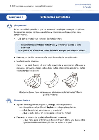 4. Disfrutamos y conservamos nuestra biodiversidad
6
Educación Primaria
1.er
grado
¡Empecemos!
En esta actividad aprenderás que las frutas son muy importantes para la vida de
las personas, porque contienen proteínas y vitaminas que les permiten estar
sanas y fuertes.
 Leo, con la ayuda de un familiar, las metas de hoy:
 Pido que un familiar me acompañe en el desarrollo de las actividades.
 Leo la siguiente situación:
Elena y su papá fueron al mercado mayorista y compraron plátanos y
manzanas para venderlos en su tienda de frutas. Ella quiere organizar las frutas
en el estante de la tienda.
¿Qué debe hacer Elena para ordenar adecuadamente las frutas? ¿Cómo
podría ayudarla?
Manos a la obra
 A partir de las siguientes preguntas, dialogo sobre el problema:
— ¿De qué trata el problema? Explico con mis propias palabras.
— ¿Qué datos tengo para resolver el problema?
— ¿Qué se debe tomar en cuenta para ordenar las frutas?
 Pienso en la manera de resolver el problema y respondo:
— ¿Qué haría para ordenar cada tipo de fruta? ¿Sería una buena idea
que ordene la cantidad de plátanos de menor a mayor?
— Relacionar las cantidades de las frutas y ordenarlas usando la cinta
numérica.
— Expresar los números en orden de menor a mayor y de mayor a menor.
ACTIVIDAD 3 Ordenamos cantidades
 