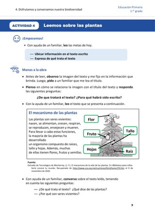 4. Disfrutamos y conservamos nuestra biodiversidad
9
Educación Primaria
1.er
grado
¡Empecemos!
 Con ayuda de un familiar, leo las metas de hoy.
Manos a la obra
 Antes de leer, observo la imagen del texto y me fijo en la información que
brinda. Luego, pido a un familiar que me lea el título.
 Pienso en cómo se relaciona la imagen con el título del texto y respondo
las siguientes preguntas:
¿De que tratará el texto? ¿Para qué habrá sido escrito?
 Con la ayuda de un familiar, leo el texto que se presenta a continuación.
Fuente:
Extraído de Tecnológico de Monterrey. (s. f.). El mecanismo de la vida de las plantas. En Biblioteca para niños.
Serie conoce tu mundo. Recuperado de http://www.cca.org.mx/cca/ninos/html/tomo7/9.htm el 9 de
noviembre de 2020.
 Con ayuda de un familiar, converso sobre el texto leído, teniendo
en cuenta las siguientes preguntas:
— ¿De qué trata el texto? ¿Qué dice de las plantas?
— ¿Por qué son seres vivientes?
El mecanismo de las plantas
Las plantas son seres vivientes:
nacen, se alimentan, crecen, respiran,
se reproducen, envejecen y mueren.
Para llevar a cabo estas funciones,
la mayoría de las plantas ha
desarrollado
un organismo compuesto de raíces,
tallo y hojas. Además, muchas
de ellas tienen flores, frutos y semillas. Raíz
Tallo
Fruto
Hojas
Flor
Leemos sobre las plantas
ACTIVIDAD 4
— Ubicar información en el texto escrito
— Expresa de qué trata el texto
 