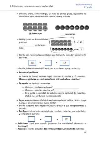 4. Disfrutamos y conservamos nuestra biodiversidad
12
Educación Primaria
1.er
grado
 Observo, ahora, cómo Rodrigo, un niño de primer grado, representó la
cantidad de verduras cosechadas usando tapas y botones.
 Rodrigo juntó las dos cantidades
y obtuvo:
______________ verduras en
total.
 Escribo con números las cantidades que Rodrigo ha juntado y completo lo
que falta.
La familia de Daniel cosechó 17 verduras, entre betarragas y zanahorias.
 Retorno al problema.
La familia de Daniel, también logró cosechar 9 cebollas y 10 rabanitos.
¿Cuántas verduras, en total, cosecharon entre cebollas y rabanitos?
 Respondo las siguientes preguntas:
— ¿Cuántas cebollas cosecharon? _______________________
— ¿Cuántos rabanitos cosecharon? ______________________
— Si se junta la cantidad de cebollas con la cantidad de rabanitos,
¿habrá más verduras o menos verduras?
 Represento ambas cantidades de verduras con tapas, palitos, canicas o con
cualquier otro material que pueda contar.
 Uso mi cuaderno o una hoja de reúso para dibujar lo que he representado y
juntado.
 Escribo con números las cantidades de cebollas y rabanitos que he juntado,
y completo lo que falta.
 Reflexiono: ¿qué pasa cuando juntamos dos cantidades? ¿Aumenta o
disminuye? _____________.
 Recuerdo: cuando juntamos dos o más cantidades, el resultado aumenta.
10 betarragas ____ zanahorias
10
7
10 17
=
+
19
=
+
 