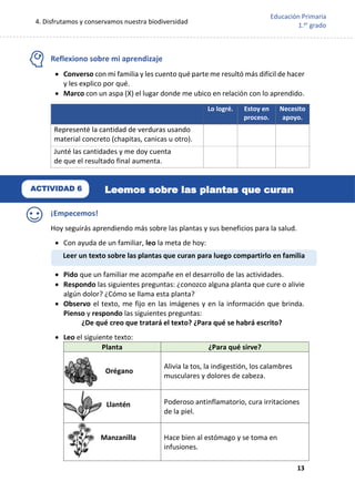 4. Disfrutamos y conservamos nuestra biodiversidad
13
Educación Primaria
1.er
grado
Reflexiono sobre mi aprendizaje
 Converso con mi familia y les cuento qué parte me resultó más difícil de hacer
y les explico por qué.
 Marco con un aspa (X) el lugar donde me ubico en relación con lo aprendido.
¡Empecemos!
Hoy seguirás aprendiendo más sobre las plantas y sus beneficios para la salud.
 Con ayuda de un familiar, leo la meta de hoy:
 Pido que un familiar me acompañe en el desarrollo de las actividades.
 Respondo las siguientes preguntas: ¿conozco alguna planta que cure o alivie
algún dolor? ¿Cómo se llama esta planta?
 Observo el texto, me fijo en las imágenes y en la información que brinda.
Pienso y respondo las siguientes preguntas:
¿De qué creo que tratará el texto? ¿Para qué se habrá escrito?
 Leo el siguiente texto:
Planta ¿Para qué sirve?
Orégano
Alivia la tos, la indigestión, los calambres
musculares y dolores de cabeza.
Llantén Poderoso antinflamatorio, cura irritaciones
de la piel.
Manzanilla Hace bien al estómago y se toma en
infusiones.
Lo logré. Estoy en
proceso.
Necesito
apoyo.
Representé la cantidad de verduras usando
material concreto (chapitas, canicas u otro).
Junté las cantidades y me doy cuenta
de que el resultado final aumenta.
Leer un texto sobre las plantas que curan para luego compartirlo en familia
.
Leemos sobre las plantas que curan
ACTIVIDAD 6
 