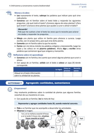 4. Disfrutamos y conservamos nuestra biodiversidad
14
Educación Primaria
1.er
grado
Manos a la obra
 Leo nuevamente el texto, subrayo las palabras que indican para qué sirve
cada planta.
 Converso con mi familiar sobre el texto leído y respondo las siguientes
preguntas: ¿de qué trató el texto? ¿Conozco alguna de estas plantas? ¿Para
qué sirven? ¿Conozco otras plantas que ayudan a curar o aliviar el dolor?
 Dibujo una planta que utilice mi familia para aliviarse o curarse. Luego
escribo, con mi propia letra, para qué sirve dicha planta.
 Comento con mi familia sobre lo que he escrito.
 Formo con mis letras móviles las palabras orégano y manzananilla, luego las
copio y las coloco en mi pizarrra palabrera. Ahora digo y escribo otras
palabras que comiencen igual que orégano y manzanilla.
Reflexiono sobre mi aprendizaje
 Converso con mi familia y les cuento que conocí algunas plantas que curan o
alivian.
 Con apoyo de un familiar, señalo con el dedo o coloco un aspa (X) donde
corresponde.
¡Empecemos!
Hoy resolverás problemas sobre la cantidad de plantas que algunas familias
cosechan de sus maceteros en casa.
 Con ayuda de un familiar, leo la meta de hoy:
 Pido a un familiar que me acompañe a desarrollar las actividades.
 Observo la imagen.
Lo logré.
Estoy en
proceso
Necesito
apoyo.
Ubiqué en el texto información
sobre la utilidad de las plantas.
Representar y agregar cantidades hasta 20, usando material concreto.
Yuri
Nico
¡Recuerdo!
Pido que me vuelvan a leer el texto las veces que lo necesite para aclarar
mis dudas y responder las preguntas.
Agregando cantidades, aumentamos
ACTIVIDAD 7
Yuri, en la mañana coseché 8 fresas
y en la tarde 5 fresas más. ¿Cuántas
fresas coseché en total?
 