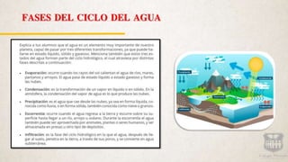 FASES DEL CICLO DEL AGUA
 