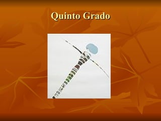 Quinto Grado 