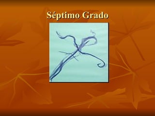 Séptimo Grado 