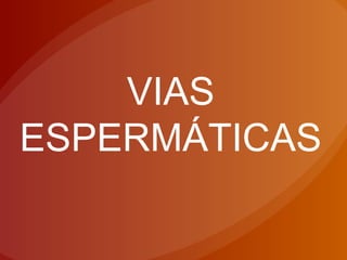 VIAS
ESPERMÁTICAS
 