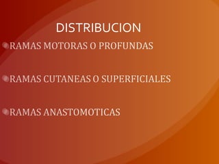 DISTRIBUCION
 