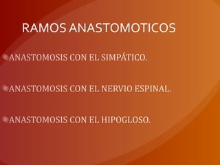 RAMOS ANASTOMOTICOS
 