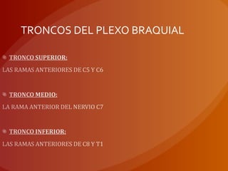 TRONCOS DEL PLEXO BRAQUIAL
 