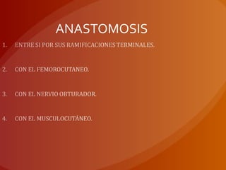 ANASTOMOSIS
 