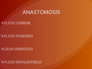 ANASTOMOSIS
 