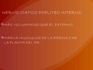 NERVIO CIATICO POPLITEO INTERNO
MÁS VOLUMINOSO QUE EL EXTERNO.
INERVA MUSCULOS DE LA PIERNA Y DE
LA PLANTA DEL PIE.
 