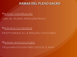 RAMO VISCERALES
VAN AL PLEXO HIPOGÁSTRICO
RAMOS CUTANEOS
DESTINADOS A LA REGION COCCIGEA
RAMO ANOCOCCÍGEO
TEGUMENTOS ENTRE COCCIS Y ANO
RAMAS DEL PLEXO SACRORAMAS DEL PLEXO SACRO
 