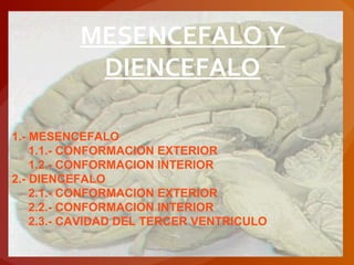 MESENCEFALO Y
DIENCEFALO
1.- MESENCEFALO
1.1.- CONFORMACION EXTERIOR
1.2.- CONFORMACION INTERIOR
2.- DIENCEFALO
2.1.- CONFORMACION EXTERIOR
2.2.- CONFORMACION INTERIOR
2.3.- CAVIDAD DEL TERCER VENTRICULO
 