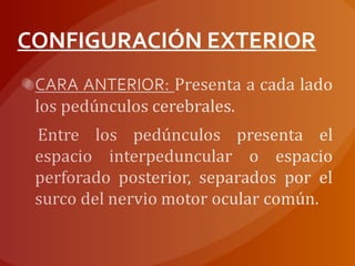 CONFIGURACIÓN EXTERIOR
 