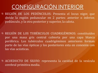 CONFIGURACIÓN INTERIOR
 