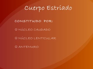 CONSTITUIDO POR:
☺ NÚCLEO CAUDADO
☺ NÚCLEO LENTICULAR
☺ ANTEMURO
 