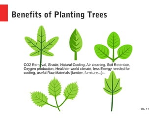 10 / 15
Benefits of Planting Trees
CO2 Removal, Shade, Natural Cooling, Air cleaning, Soil Retention,
Oxygen production, H...