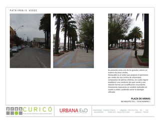 PLAN DE RECONSTRUCCIÓN SUSTENTABL E
Óp re s DETALLE CONTENIDO LINEA 1
DETALLE CONTENIDO LINEA 1
DETALLE CONTENIDO LINEA 1
CONSULTOR ESPECÍFICO
AUTOR DEL PLANO
URBANA E&D
TITULO CONTENIDO
PANORAMA CONSULTORES / URBANO PROYECTOS SA / GSI
INGENIERÍA / DOMEYKO ARQUITECTURA / MANUEL TIRONI
PLAN DE RECONSTRUCCIÓN SUSTENTABLE
Ó     p r e s
IBA ARQUITECTOS / FICHA NÚMERO 1
PATRIMONIO VERDE
Se presenta como uno de los grandes valores en
materia de áreas verdes.
Destacable es el orden que propone el perímetro
por medio de una cortina de columnatas
compuestas de palmas chilenas, las cuales logran
establecer una condición de oasis verde y una
relación formal con la edificación circundante.
Claramente representa un modelo replicable en
cuanto a orden, pudiendo variar la tipología
utilizada.
PLAZA DE ARMAS
 