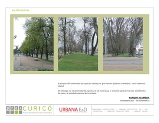 PLAN DE RECONSTRUCCIÓN SUSTENTABL E
Óp re s DETALLE CONTENIDO LINEA 1
DETALLE CONTENIDO LINEA 1
DETALLE CONTENIDO LINEA 1
CONSULTOR ESPECÍFICO
AUTOR DEL PLANO
URBANA E&D
TITULO CONTENIDO
PANORAMA CONSULTORES / URBANO PROYECTOS SA / GSI
INGENIERÍA / DOMEYKO ARQUITECTURA / MANUEL TIRONI
PLAN DE RECONSTRUCCIÓN SUSTENTABLE
Ó     p r e s
PARQUE ALAMEDA
IBA ARQUITECTOS / FICHA NÚMERO 6
PALETA VEGETAL
El parque está conformado por especies arbóreas de gran tamaño (plátanos orientales) y como cobertura,
césped.
Sin embargo, no hay diversidad de especies, de tal manera que el atractivo queda enmarcado a la alfombra
de pasto y la variedad estacional de los árboles.
 